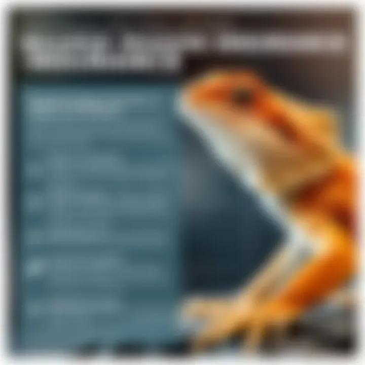 Overview of Bearded Dragon Insurance Options An infographic depicting bearded dragon insurance options