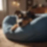 Luxurious bolster dog bed providing comfort