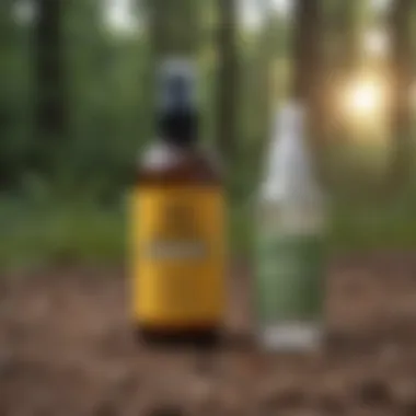 Homemade Bug Repellent Spray Homemade bug repellent in a spray bottle for dogs