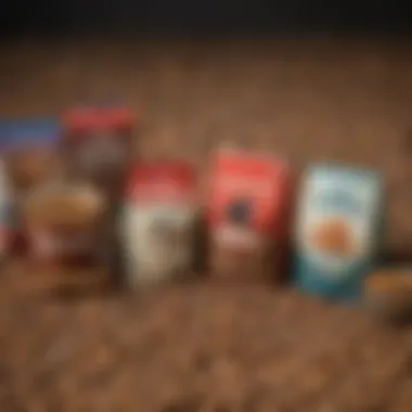 An array of popular gluten-free dog food brands neatly arranged for comparison