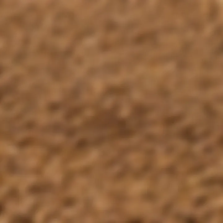 A close-up of gluten-free dog food ingredients highlighting grains and proteins