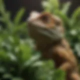 A vibrant assortment of leafy greens suitable for bearded dragons
