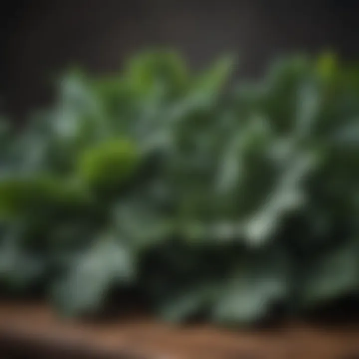 Close-up of kale and collard greens, rich in nutrients