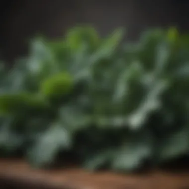 Nutrient-Rich Kale and Collard Greens Close-up of kale and collard greens, rich in nutrients