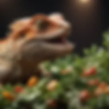 Bearded Dragon Enjoying a Salad A bearded dragon enjoying a colorful salad of greens