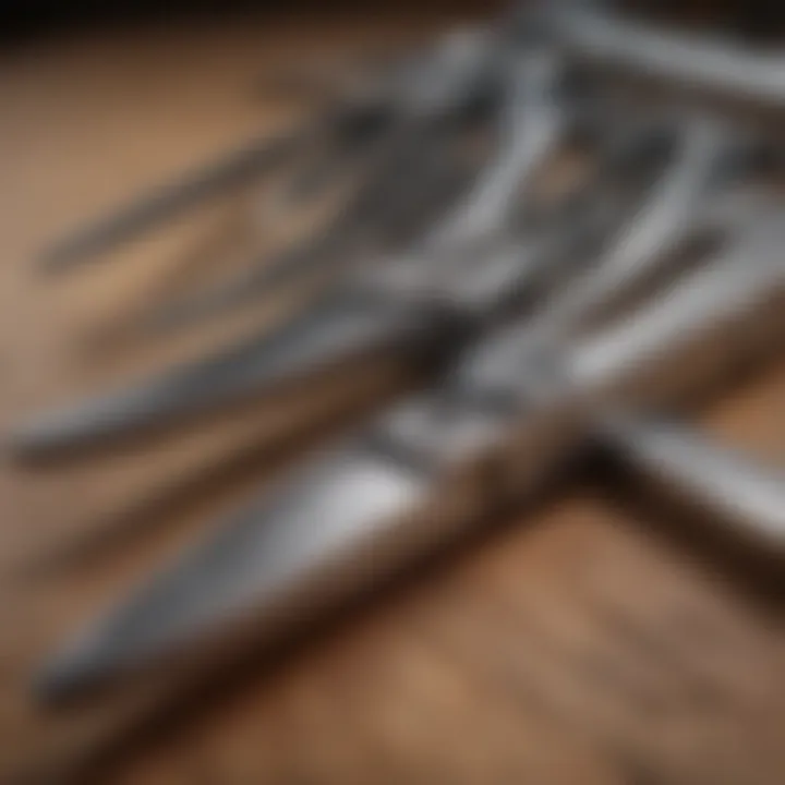 A close-up of shear blades showcasing their precision and quality