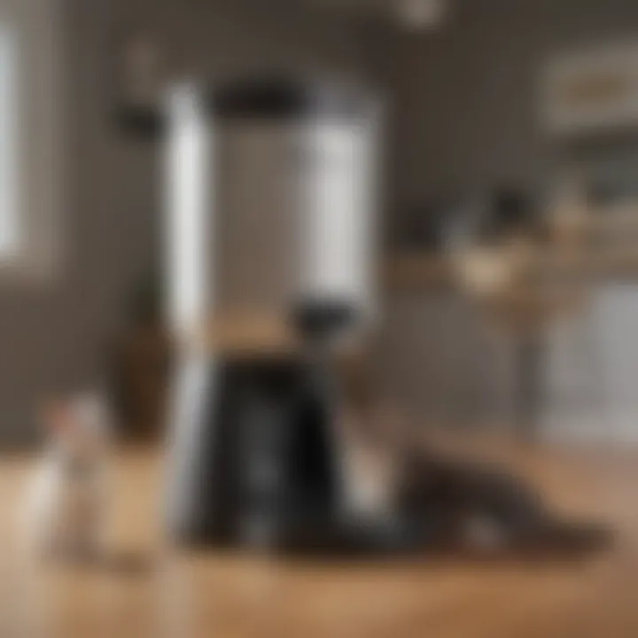 Easy setup of the Bettamatic Automatic Feeder in a pet-friendly environment