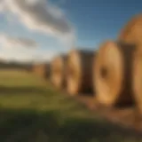 Various types of hay bales stacked in a field under a blue sky