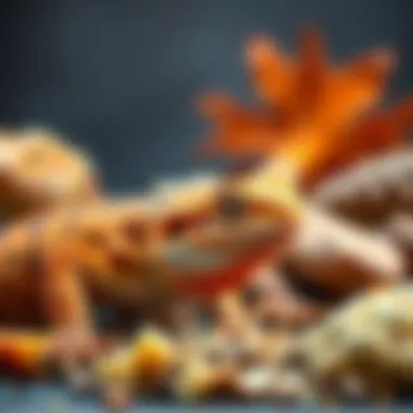 Nutritional Varieties for Bearded Dragons A vibrant assortment of healthy bearded dragon food options
