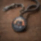 A vibrant chewy pet tag hanging from a collar, showcasing its texture and color