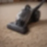 A vacuum cleaner effectively removing dog hair from a carpet