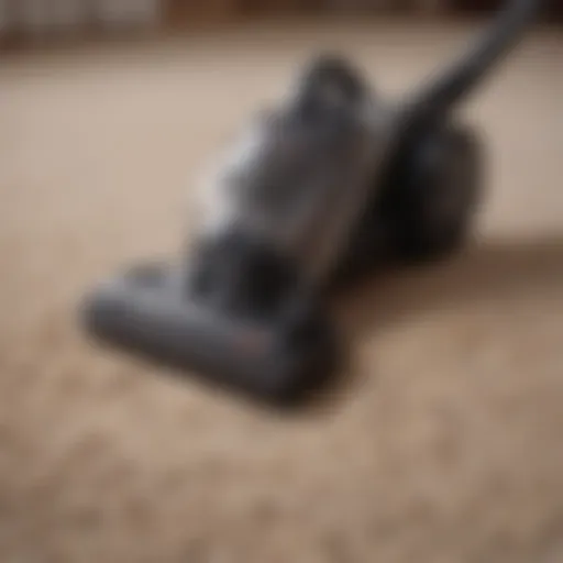 A vacuum cleaner effectively removing dog hair from a carpet