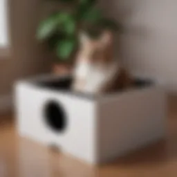 Stylish litter box design blending with modern home decor