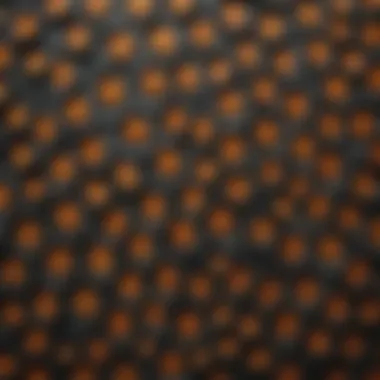 Intricate Pleco Patterns Close-up view of a pleco's unique patterns and colors