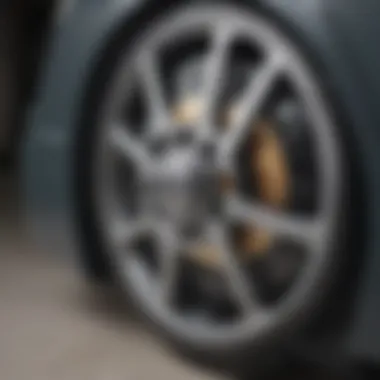 Close-up of detachable wheel mechanism in a pet carrier