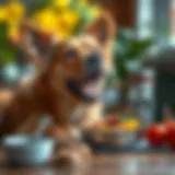 Healthy dog enjoying a nutritious meal