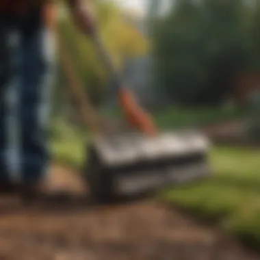Rake designed for backyard waste management