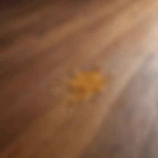 Wood floor with visible urine stain