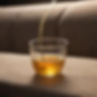 Demonstrating Urine Removal Techniques Step-by-step cleaning process demonstrated on fabric
