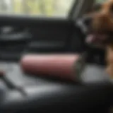 A lint roller removing pet hair from car upholstery
