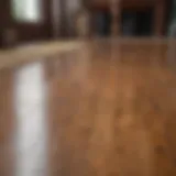 Dog urine stain on wooden floor