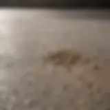 Close-up of concrete surface affected by dog urine