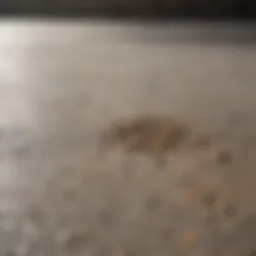 Close-up of concrete surface affected by dog urine