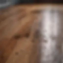 Wood floor stained with cat urine