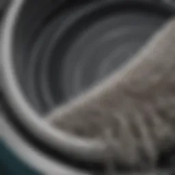 A close-up view of a washer drum with visible pet hair remnants