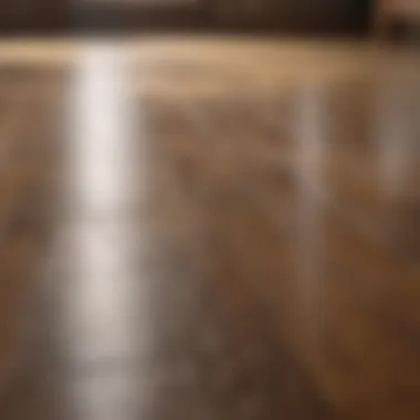 Natural Cleaning Solutions to Combat Pet Urine Selection of natural cleaning solutions for hardwood floors