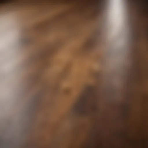 Close-up of hardwood floor with pet urine stain