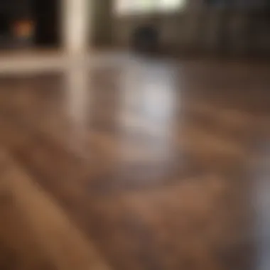 Preventative Measures to Protect Your Hardwood Flooring Preventative measures for protecting hardwood floors