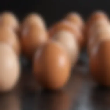 Egg Production Rates by Breed An infographic detailing egg production rates among different chicken breeds