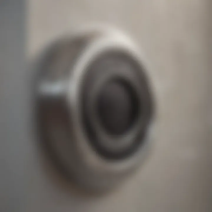 Close-up of an electric dog door's sensor technology