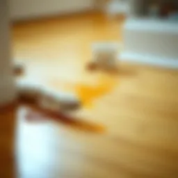 Close-up of hardwood floor stained with pet urine