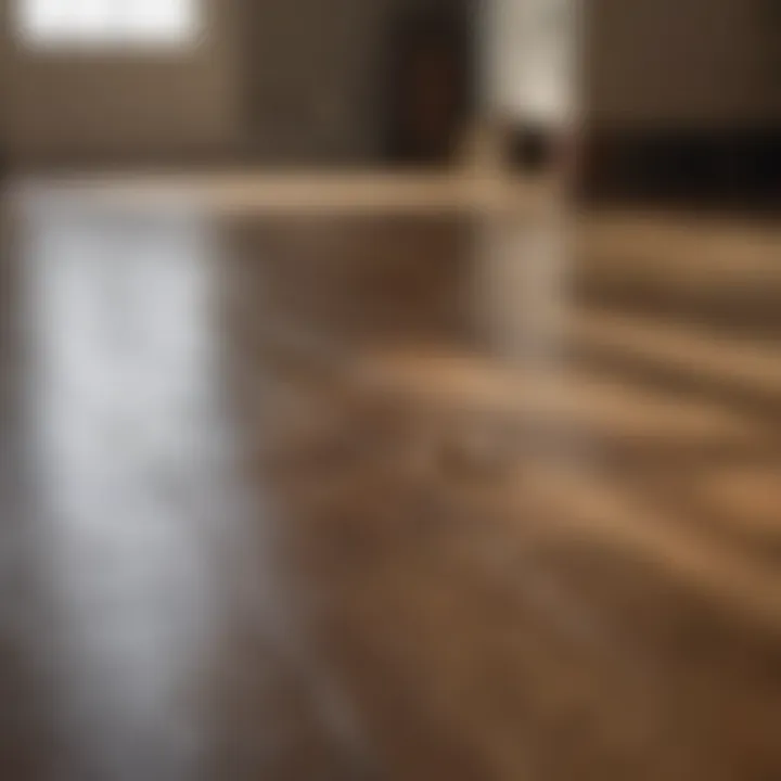 Demonstrating preventive measures for maintaining hardwood floors