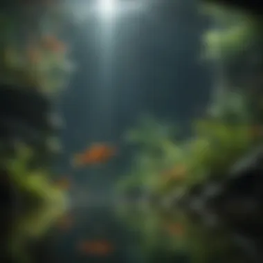 Thriving Aquatic Ecosystem Healthy aquarium with vibrant aquatic plants and fish