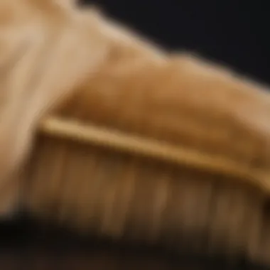 Close-up of a comb designed for Golden Retrievers