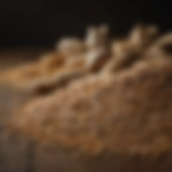 Various grains arranged to depict the importance of grains in horse diets
