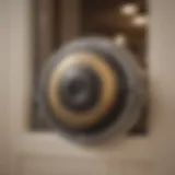 A close-up view of an automatic doggy door with collar detection