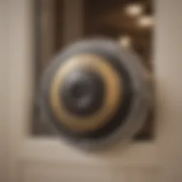 A close-up view of an automatic doggy door with collar detection