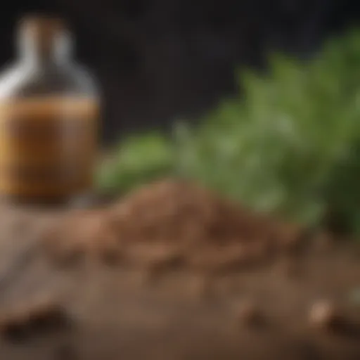 A selection of natural dog food additives such as herbs and oils