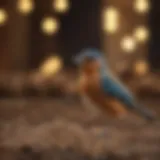 A vibrant array of bird seed options