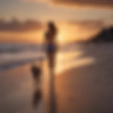 A dog owner enjoying a sunset walk with their pet along the shoreline