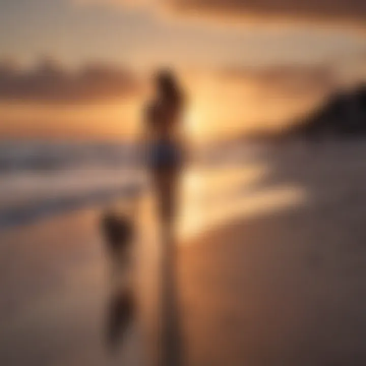 A dog owner enjoying a sunset walk with their pet along the shoreline