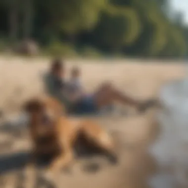 A dog owner relaxing on the beach with their furry companion lounging beside them.