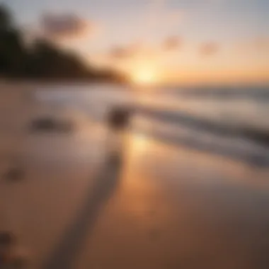 A picturesque sunset over a Michigan beach with dogs running along the shoreline.