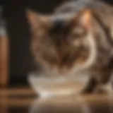 A sleek non-tip cat water bowl designed for stability