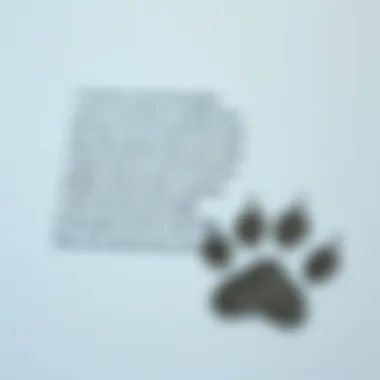 A Poem Inspired by Canine Companionship A close-up of a handwritten poem with a dog paw print beside it