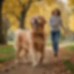 A golden retriever enjoying a walk in the park with its owner, illustrating active joint health
